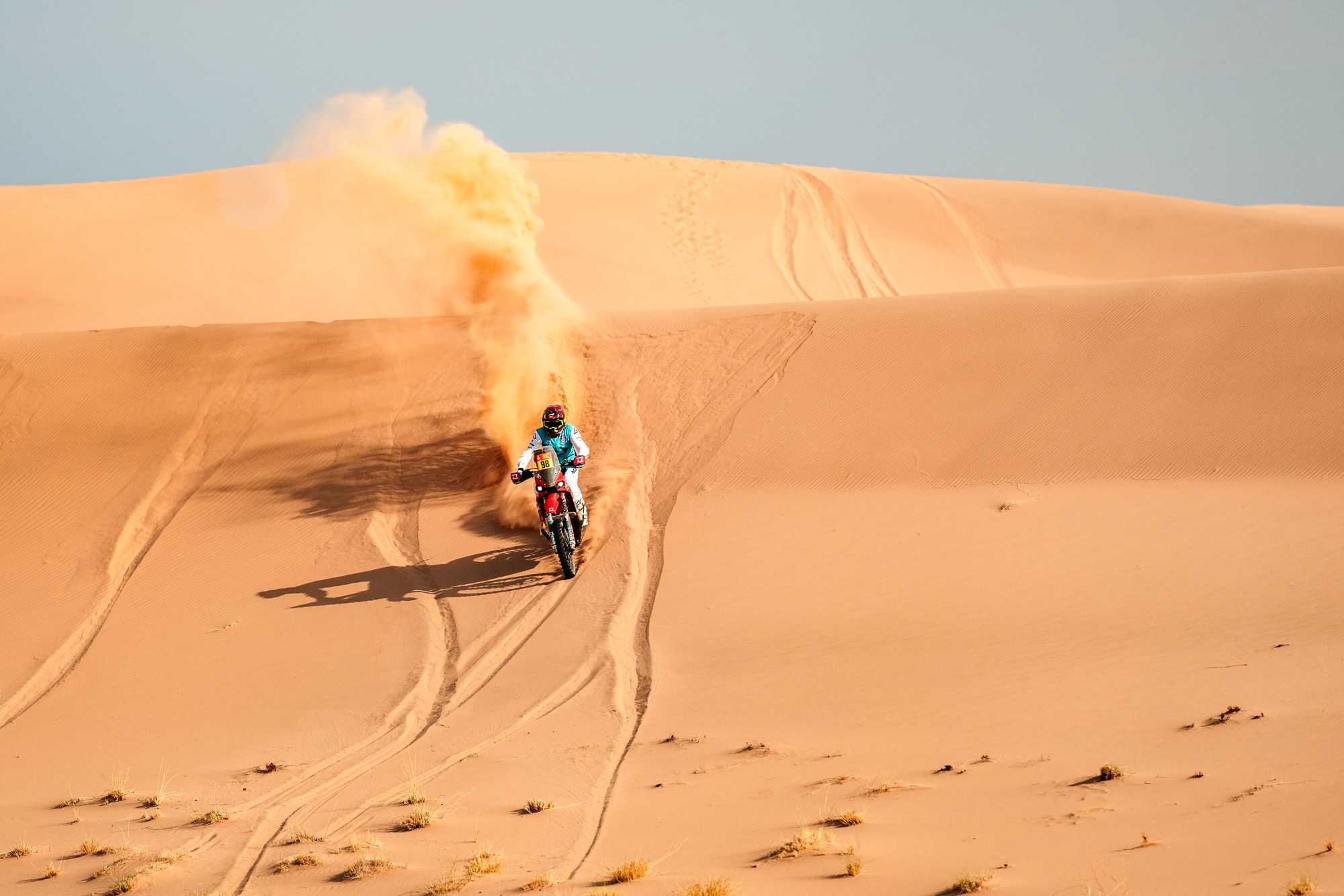 DAK25_HelenaClancy_EdoPhoto_kove_5266 (3)